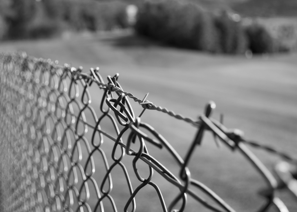 Good Fences Make Good Neighbors [City Blackout]