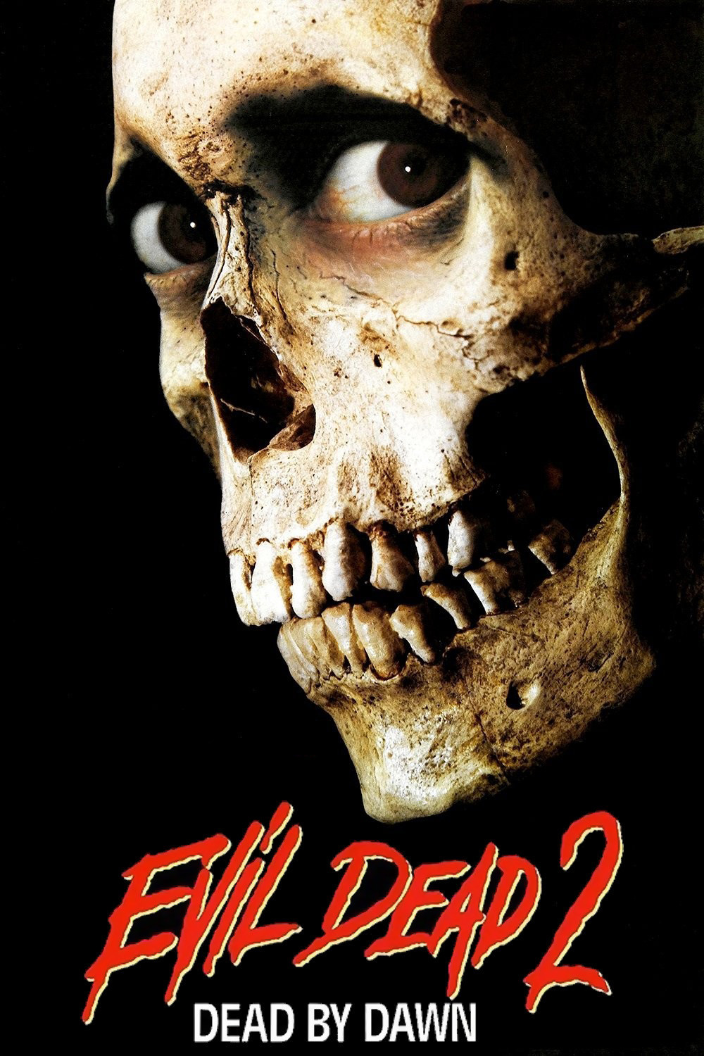 The Evil Dead II