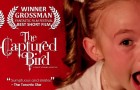 The Captured Bird (2012) Review